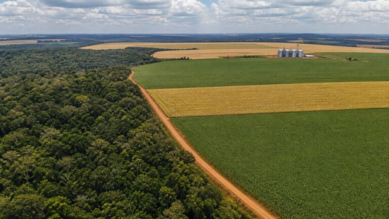 coalizao-apresenta-8-propostas-do-agro-e-do-clima-a-presidenciaveis-de-2026
