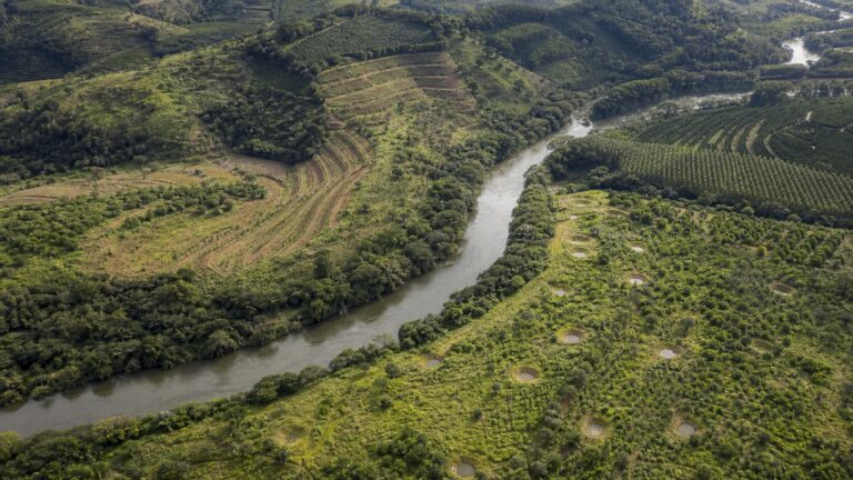 edital-destina-r-618-75-milhoes-para-restaurar-12-5-mil-hectares-na-bacia-do-rio