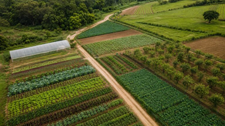 mda-retoma-gt-do-plano-safra-com-oficina-sobre-agricultura-familiar