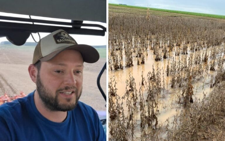 produtor-rs