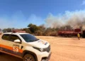 Defesa Civil atua no combate a incêndio em algodoeira próximo ao Centro Industrial do Cerrado