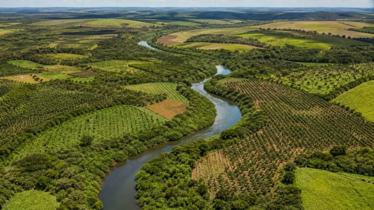 inscricoes-do-edital-restaura-rio-doce-sao-prorrogadas-ate-30-de-setembro