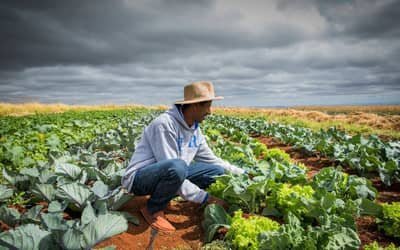 Renegociaodedvidasruraisnochegaaoprodutordizbancadadoagro_0806475001789443705