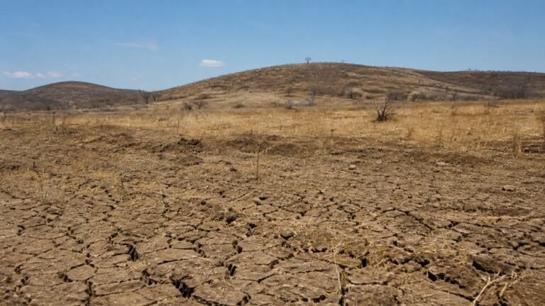 cop17-da-desertificacao-comeca-na-mongolia-com-foco-em-solo-seca-e-pastagens