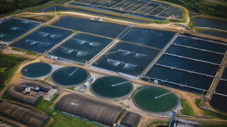 novo-modelo-de-licenciamento-da-aquicultura-adota-producao-e-sistema-de-cultivo-