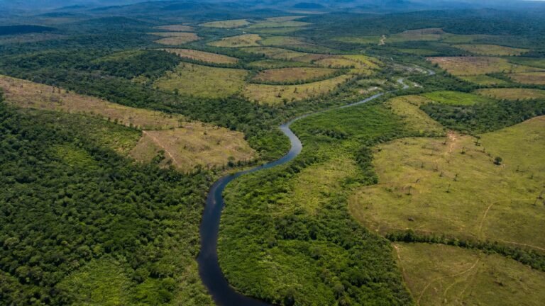 terras-indigenas-da-amazonia-somam-1-79-milhao-de-hectares-com-potencial-de-rest