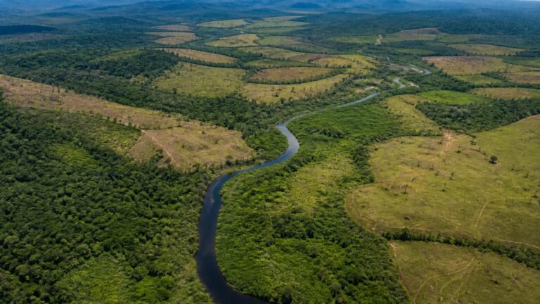 terras-indigenas-da-amazonia-somam-1-79-milhao-de-hectares-com-potencial-de-rest